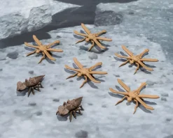 Godzilla - Megaguirus Actionfigur / S.H. Monster Evolution Set: Tamashii Nation