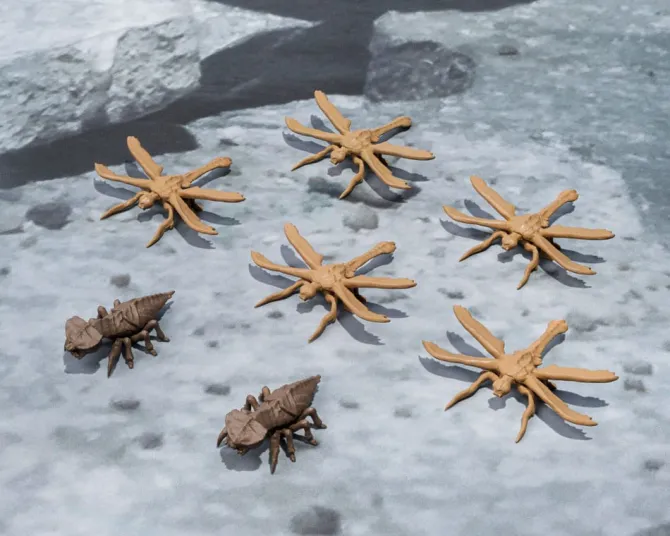 Godzilla - Megaguirus Actionfigur / S.H. Monster Evolution Set: Tamashii Nation