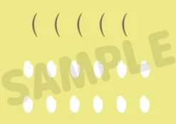 Haikyu!! - Keiji Akaashi Nendoroid [NEUAUFLAGE]: Orange Rouge