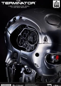 Terminator - T-800 Endoskeleton Skull Life-Size Büste / The Real Series: Blitzway