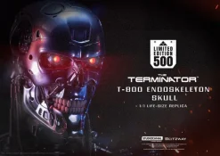 Terminator - T-800 Endoskeleton Skull Life-Size Büste / The Real Series: Blitzway