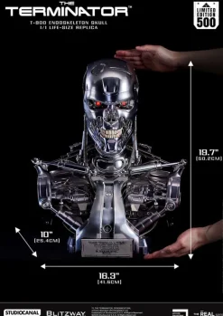 Terminator - T-800 Endoskeleton Skull Life-Size Büste / The Real Series: Blitzway